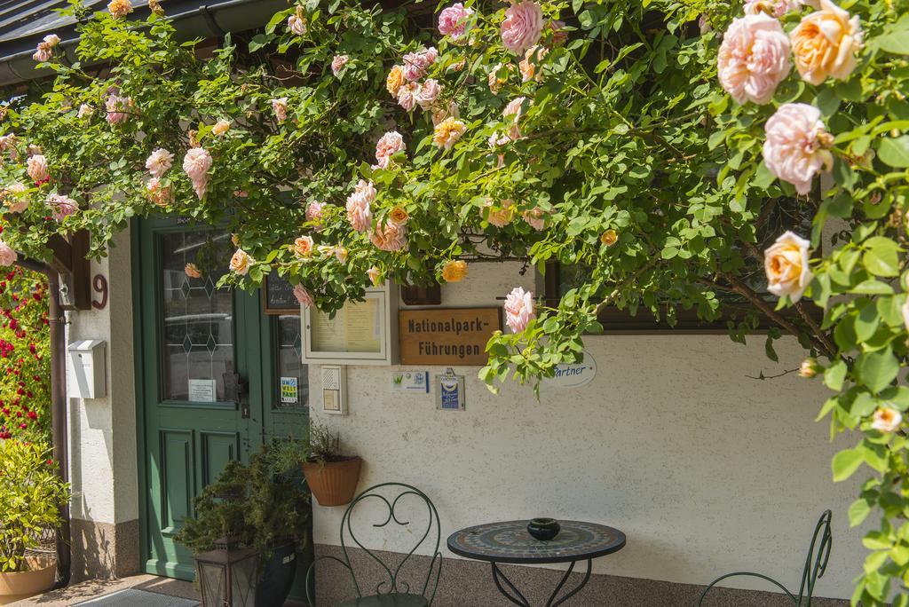 Kraeuterpension Saeumerpfad Mauth Exterior photo
